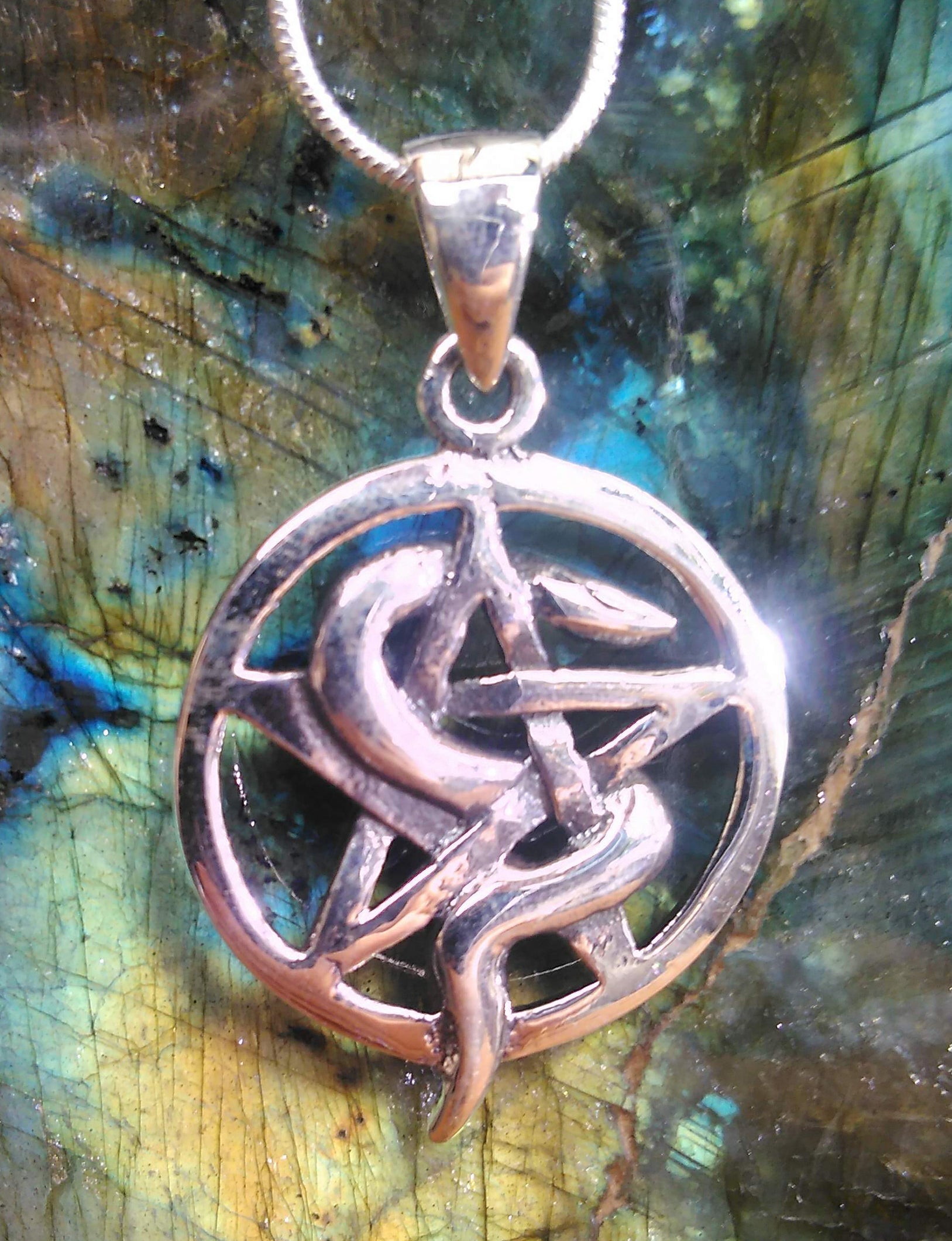 Snake wrapped around a pentagram in solid silver on an 18 inch silver snake chain